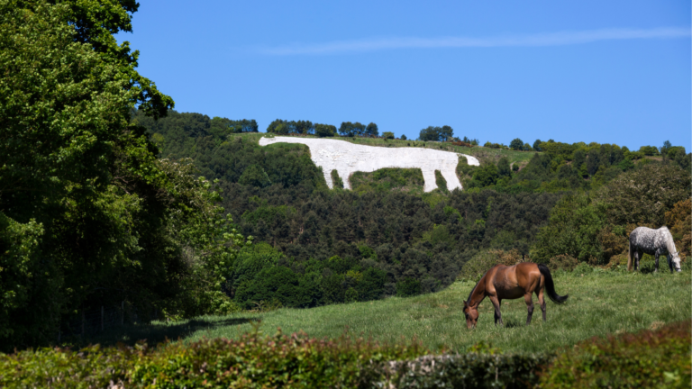 the delights of north yorkshire